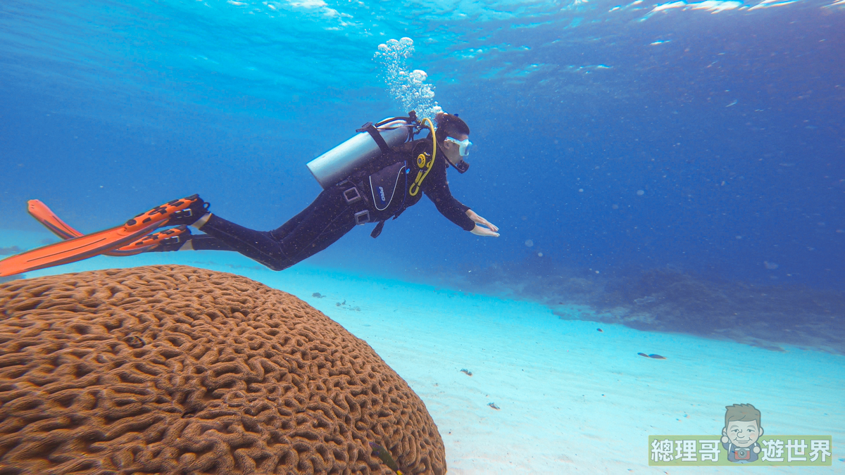 菲律賓薄荷島潛水考照推薦海島瘋 水肺潛水OW考證體驗