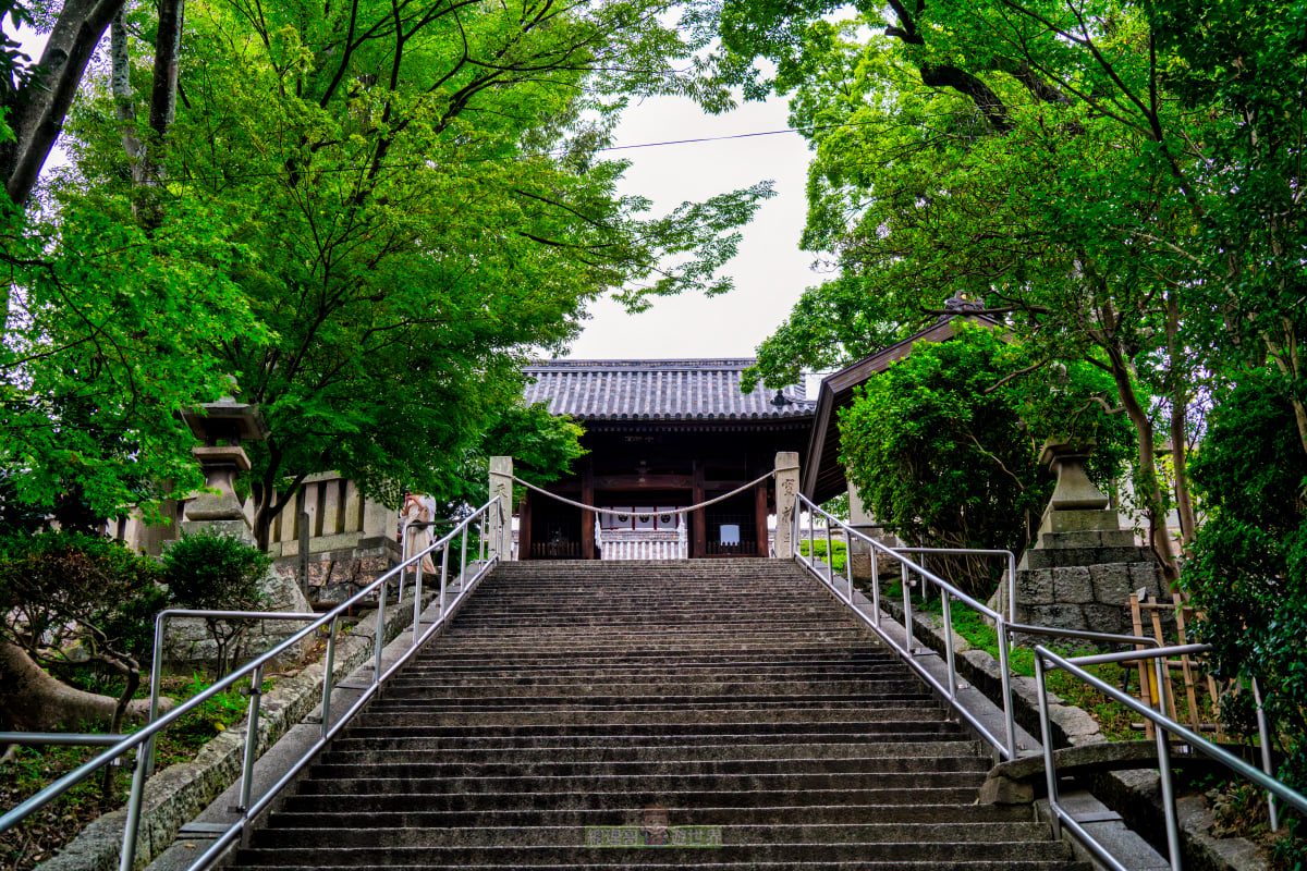 岡山倉敷必去景點！倉敷美觀地區、阿智神社